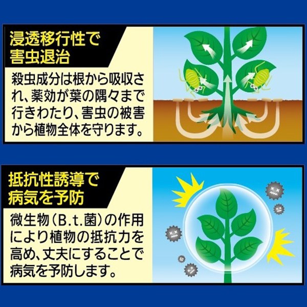 殺虫殺菌剤 マイローズ ベニカXガード粒剤 450g KINCHO園芸 殺虫剤 ベニカ 殺虫剤 ...