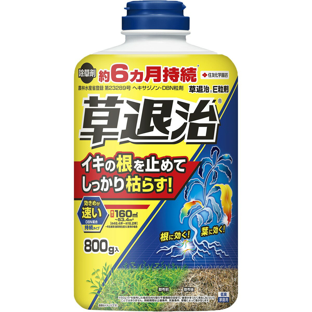 除草剤 草退治E 粒剤 800g KINCHO園芸 除草剤 顆粒 除草剤 強力 除草剤 草退治 除草剤 粒剤 除草剤 ヘキサジノン 粒剤 除草剤 草退治E 除草剤 速効