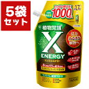 X-ENERGY つめかえ用 1000ml×5袋 住友化学園芸 植物覚醒 エックスエナジー 植物活力液 エックスエナジー つめかえ 植物活力液 土壌改善 生育向...