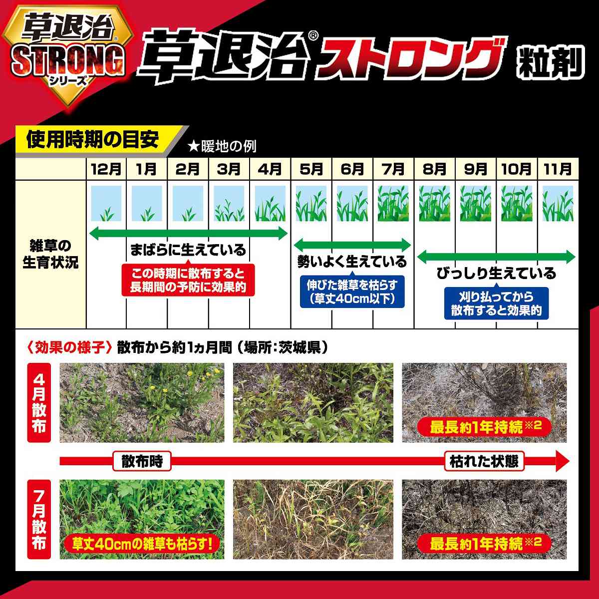 除草剤 草退治ストロング 粒剤 800g 最長1年持続 KINCHO園芸 除草剤 顆粒 除草剤 強力 除草剤 粒剤 除草剤 クサノン 除草剤 雑草防除 雑草対策 雑草 防除