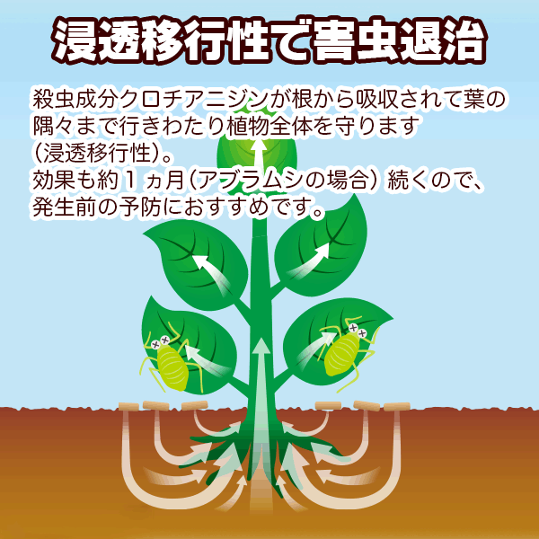ベニカXガード粒剤 550g KINCHO園芸 殺虫剤 ベニカ 殺虫剤 顆粒 殺虫剤 殺菌剤 ベ...