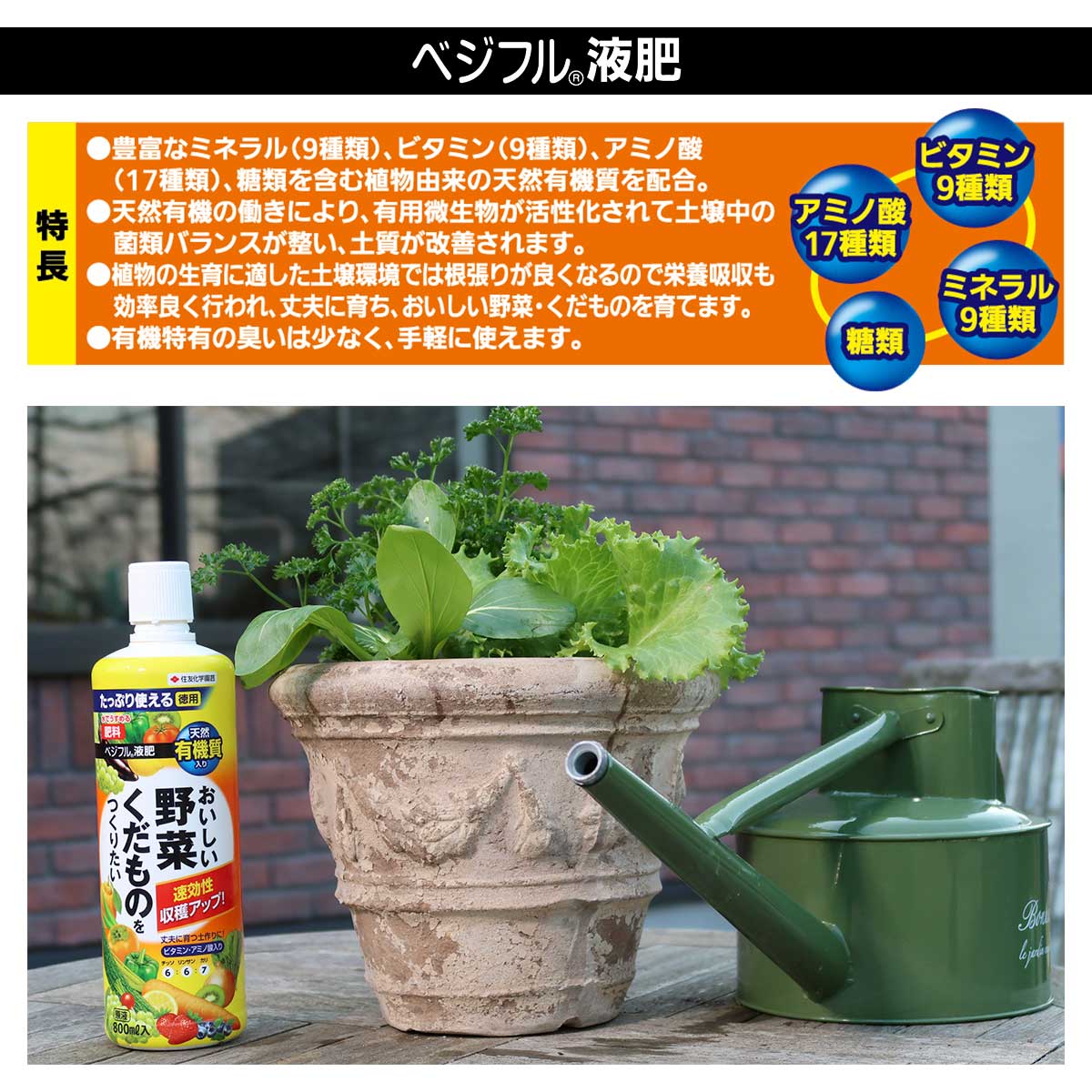 肥料 ベジフル液肥 800ml KINCHO園芸 肥料 野菜 肥料 果樹 肥料 野菜肥料 野菜の肥...