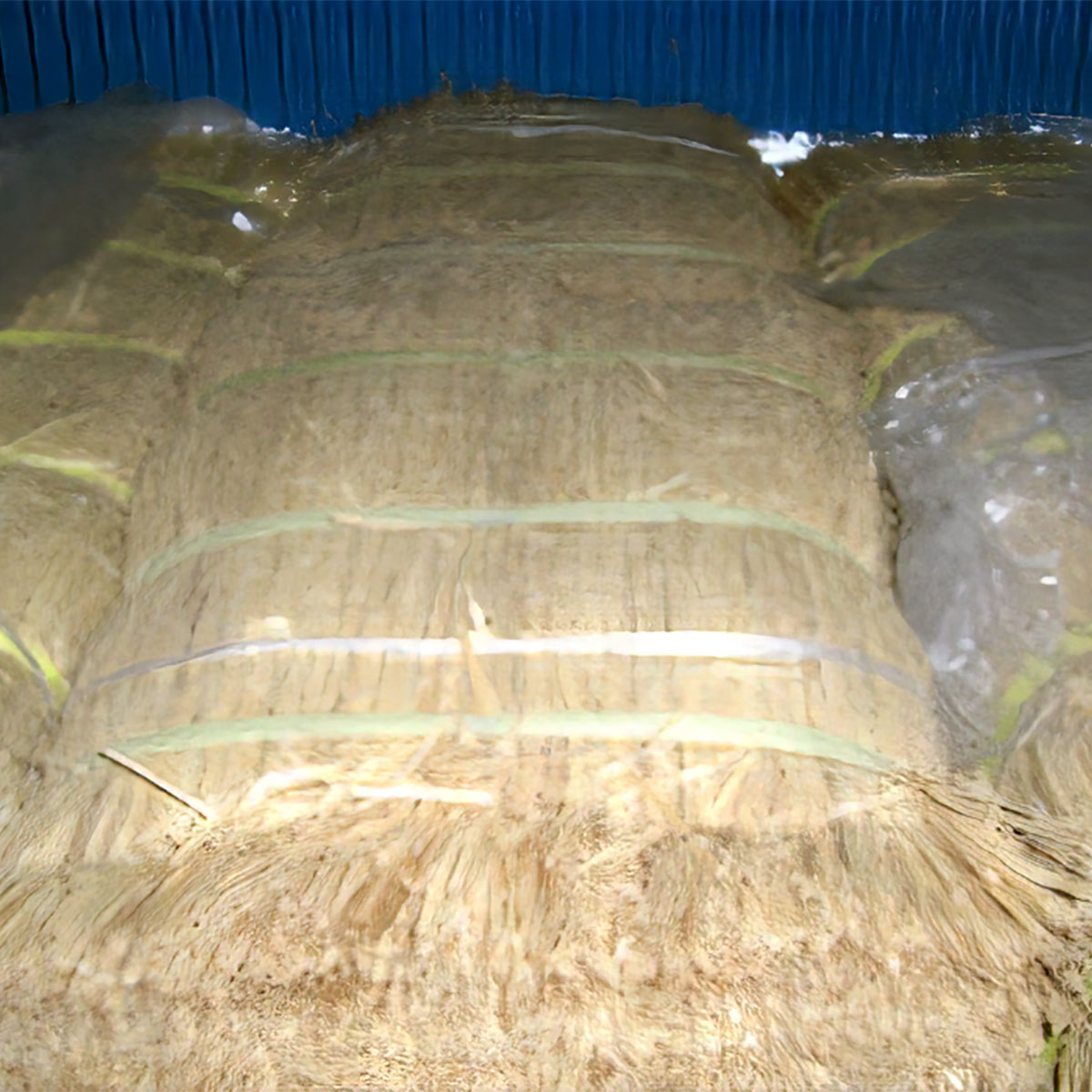 花むしろ 稲わらコモ 6尺 約910mm×1820mm ×20入 シンセイ こもまき 藁 菰巻き ワラ 害虫駆除 越冬 冬支度 防寒 冬囲い