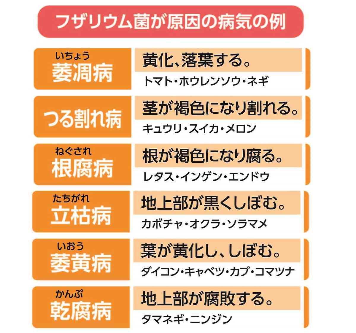 カニ殻 500g 自然応用科学 PLUS1シリーズ 土壌改良資材 プラスワン カニ殻 カニ ペ...