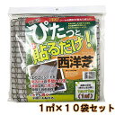 ぴたっと貼るだけ西洋芝 10袋 自然応用科学 西洋芝 種 西洋芝 種子 芝 種 芝生 種 芝の種 芝生の種 西洋芝の種 洋芝の種 芝生シート 簡単作業 芝種 芝種子