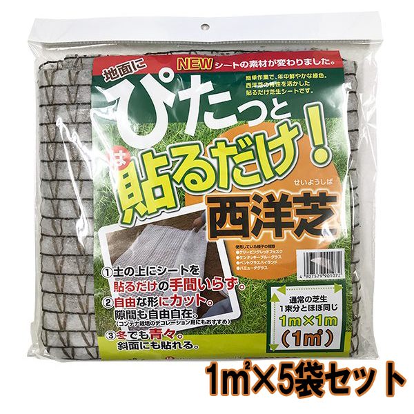 【楽天スーパーSALE 10％OFF】ぴたっと貼るだけ西洋芝 5袋 自然応用科学 西洋芝 種 西洋芝 種子 芝 種 ..