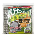 ぴたっと貼るだけ西洋芝 自然応用科学 西洋芝 種 西洋芝 種子 芝 種 芝生 種 芝の種 芝生の種 西洋芝の種 洋芝の種 芝生シート 簡単作業 芝種 芝種子