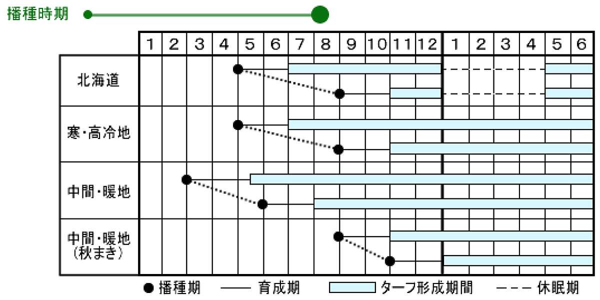 �Ǽ� �ϥ����� 1kg (0.5kg��2��) ���������� �����μ� �Ǥμ� �� �� �� ��� ���� �� ���� ��� �����μ�� �Ǥμ�� ��̳�� �� ��� ��̳�� ���� ���