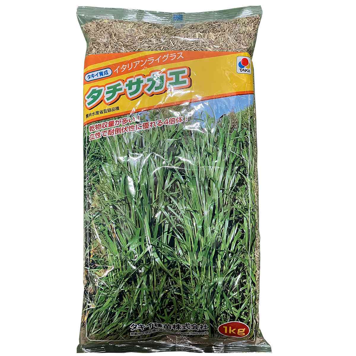 ※メーカーより直送品となります。当店から出荷される商品と一緒に購入された場合別途送料が発生致しますご了承ください。有効期限最低3カ月以上の商品を発送させていただきます。それ以下の期限になる場合、当店よりメールまたはお電話にてご連絡させていただきます。ご注意：必ず播種時期を確認して頂きご購入をお願い致します。ご利用になる地域の気温をご確認の上、ご購入お願い致します。農林水産省登録品種：タチサカエ立性で耐倒伏性が強い4倍体特性4倍体。中生。乾物収量が多く、刈り取り後の再生力も良好。積雪地帯での越冬性に優れ、雪腐病に強い。従来の4倍体に比べ直立型で耐倒伏性が強いため、機械収穫時の刈り残しが出にくい。播種適期秋まき：9月〜11月春まき：3月〜5月播種量：3〜4kg/10a検索ワード：牧草 種 牧草 種子 牧草の種 牧草 種 牧草 種 緑肥 種子 緑肥 種 緑肥種子 牧草種子 牧草 種 牧草 緑肥種子 緑肥 種
