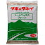 トールフェスク フォーン BFE501 1kg タキイ種苗 タネのタキイ 芝種 送料無料 代金引換不可