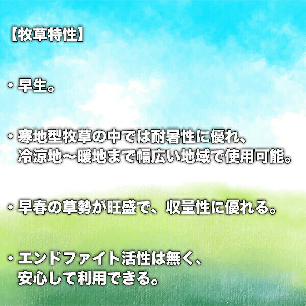 �ȡ���ե����� �ե����� BFE501 5kg(1kg��5��) ���������� �Ǽ� �� �� �� ��� ���� �� ���� ��� �Ǥμ� �����μ� �Ǽ� ��̳�� ���� ��� ��̳�� ���� ���