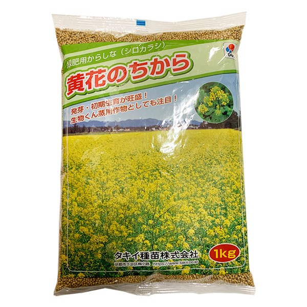緑肥用からしな シロカラシ 黄花のちから 1kg タキイ種苗 緑肥種 代金引換不可 送料無料