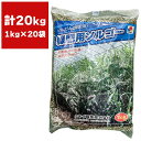 緑肥 ソルガム 緑肥用ソルゴー 20kg (1kg×20袋) タキイ種苗 緑肥 種 緑肥 種子 ソルゴー 種 ソルゴー 種子 緑肥 業務用 種子 緑肥 業務用 種 ソルゴーの種