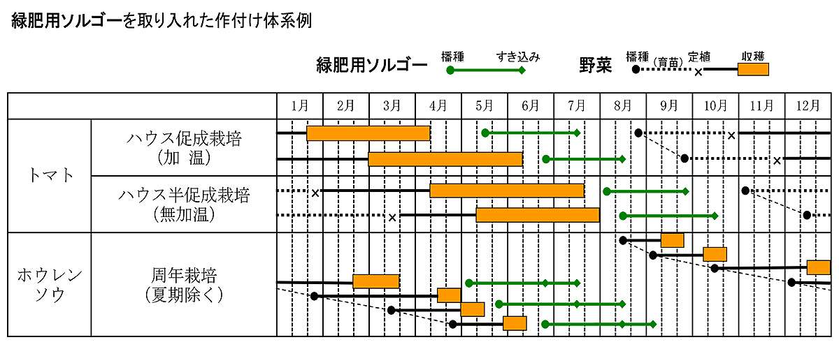 ���� ���륬�� �����ѥ��르�� 1kg ���������� ���� �� ���� ��� ���르�� �� ���르�� ��� ���� ��̳�� ��� ���� ��̳�� �� ���르���μ�