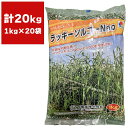 緑肥 ソルガム ラッキーソルゴーNeo 20kg (1kg×20袋) タキイ種苗 緑肥 種 緑肥 種子 ソルゴー 種 ソルゴー 種子 緑肥 業務用 種子 緑肥 業務用 種 ソルゴーの種