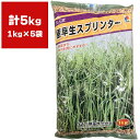 緑肥 えん麦 極早生スプリンター 5kg (1kg×5袋) タキイ種苗 えん麦 種子 えん麦 種 緑肥 種子 緑肥 種 エンバク 種 エンバク 種子 緑肥 業務用 種子