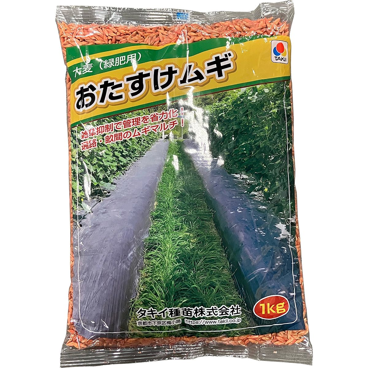 大麦(緑肥用)おたすけムギ 1kg タキイ種苗 リビングマルチ 雑草抑制 景観緑肥 土壌改良 地温抑制 オオ..