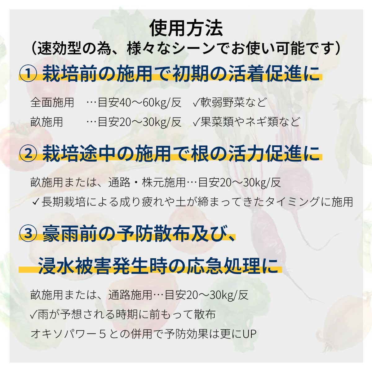 ˡ�͸��� ®�������Ƕ���� ���������å���1 10kg��100�� ���������� ���Ƕ���� ���������å��� 1 �ھ����� ȯ��¥�� ��������륷���� Ȫ �ڤŤ��� ���Ȼ��