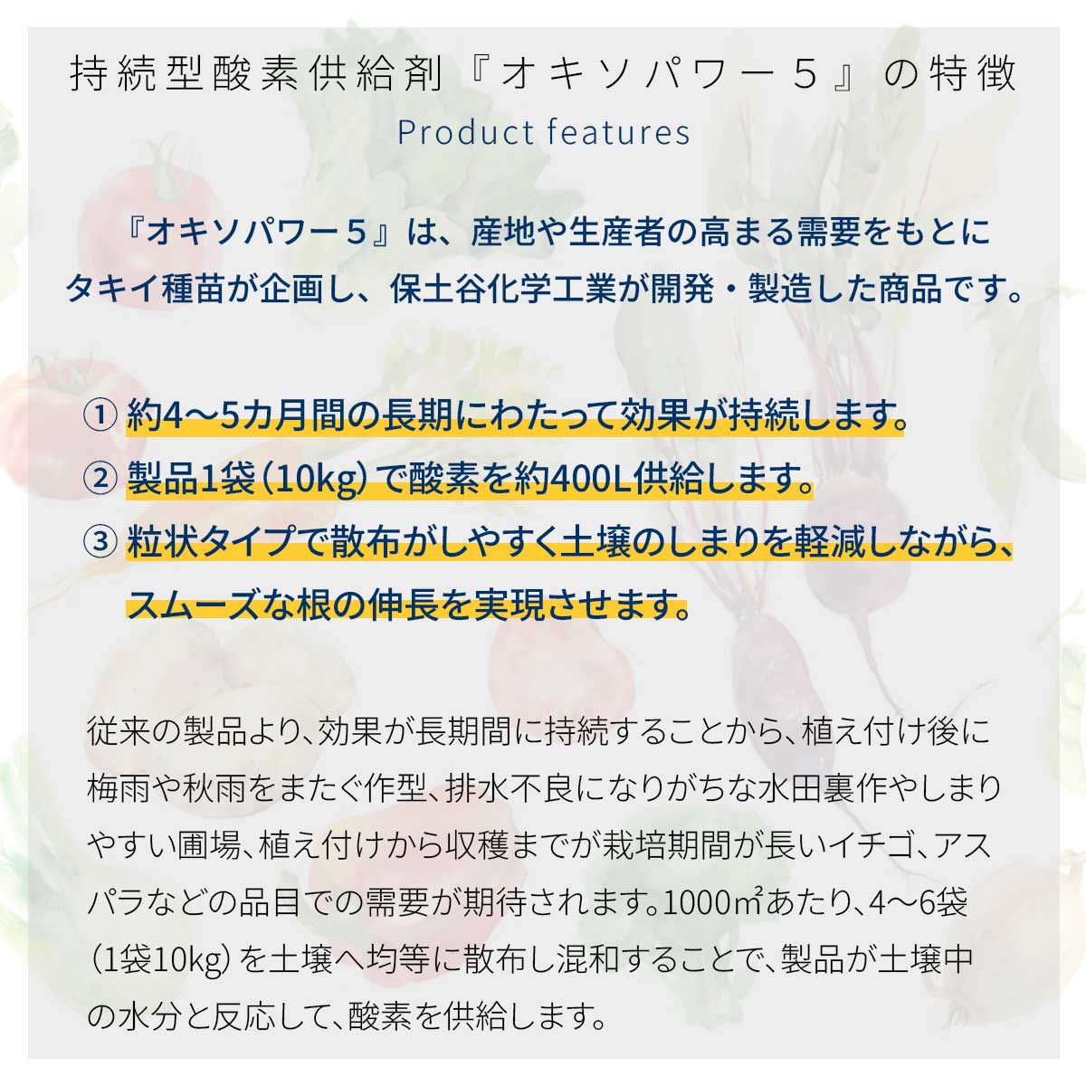 ˡ�͸��� ��³���ھ����Ƕ���� �������ѥ5 10kg��100�� ���������� ���Ƕ���� �������ѥ 5 �ھ����� ȯ��¥�� ��������륷���� Ȫ �ڤŤ��� ���Ȼ��