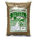 まとめ買い 5袋入 西洋芝の種(ケンタッキーブルーグラス) 1kg 80～120平方メートル用 芝種 送料無料