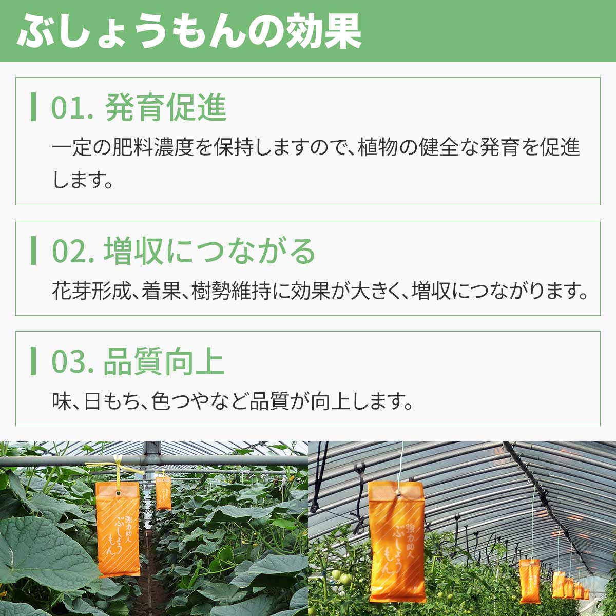 �ϥ������� ú��Ʊ������¥�ʺ� �֤��礦��� (100g��14��) ��10Ȣ �ݵȻ��� �դ�����ܵۼ� ���� ���� �������� ���� ȯ��¥�� ���� �ʼ����� ��̳�� ������