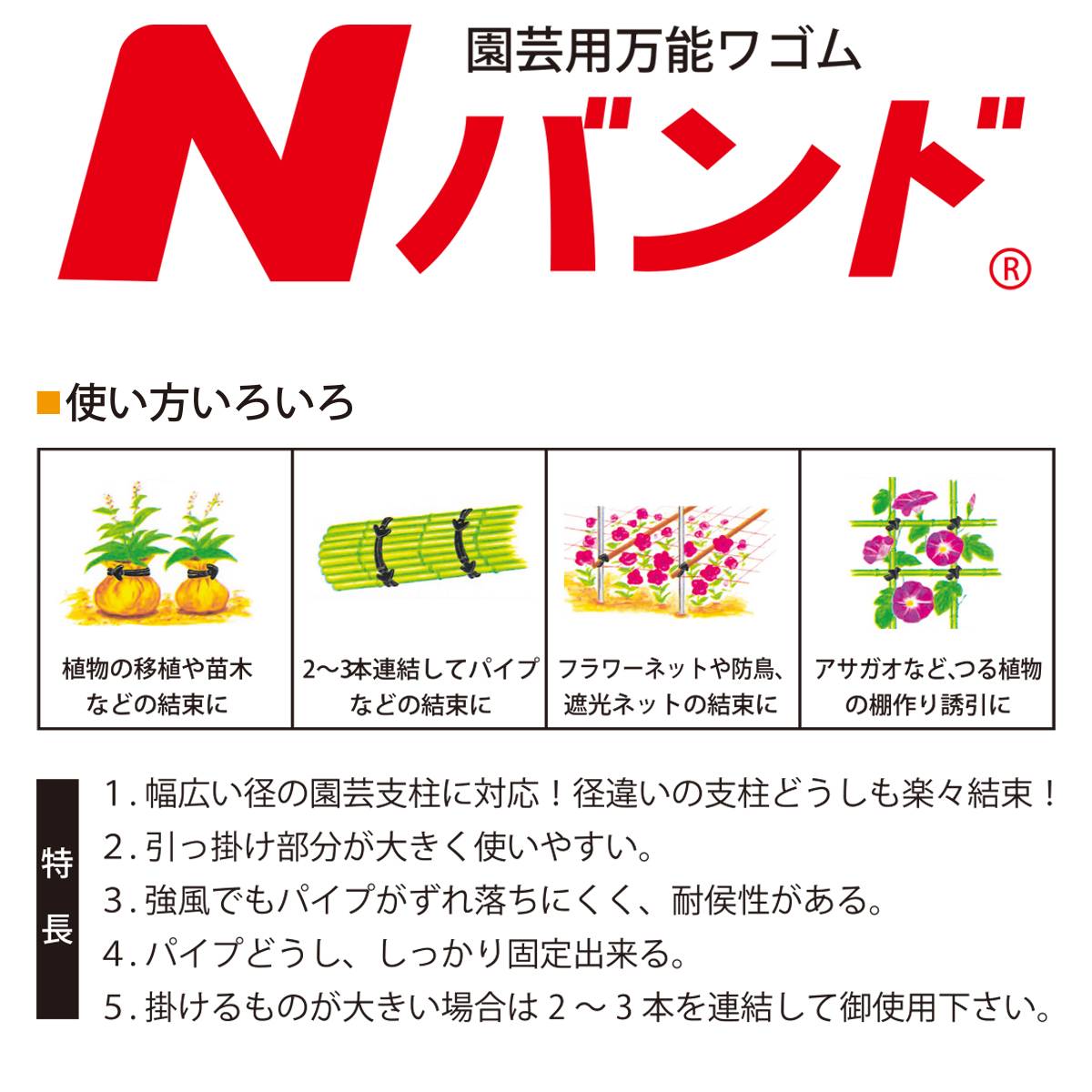 イーワイズの園芸用万能ワゴム Nバンド N255 1kg (約440本) 丸三商事 園芸用輪ゴム 園芸 輪ゴム 園芸 棚作り 輪ゴム 園芸用 ゴム 園芸 誘引 輪ゴム 園芸 結束 輪ゴム｜アングル2