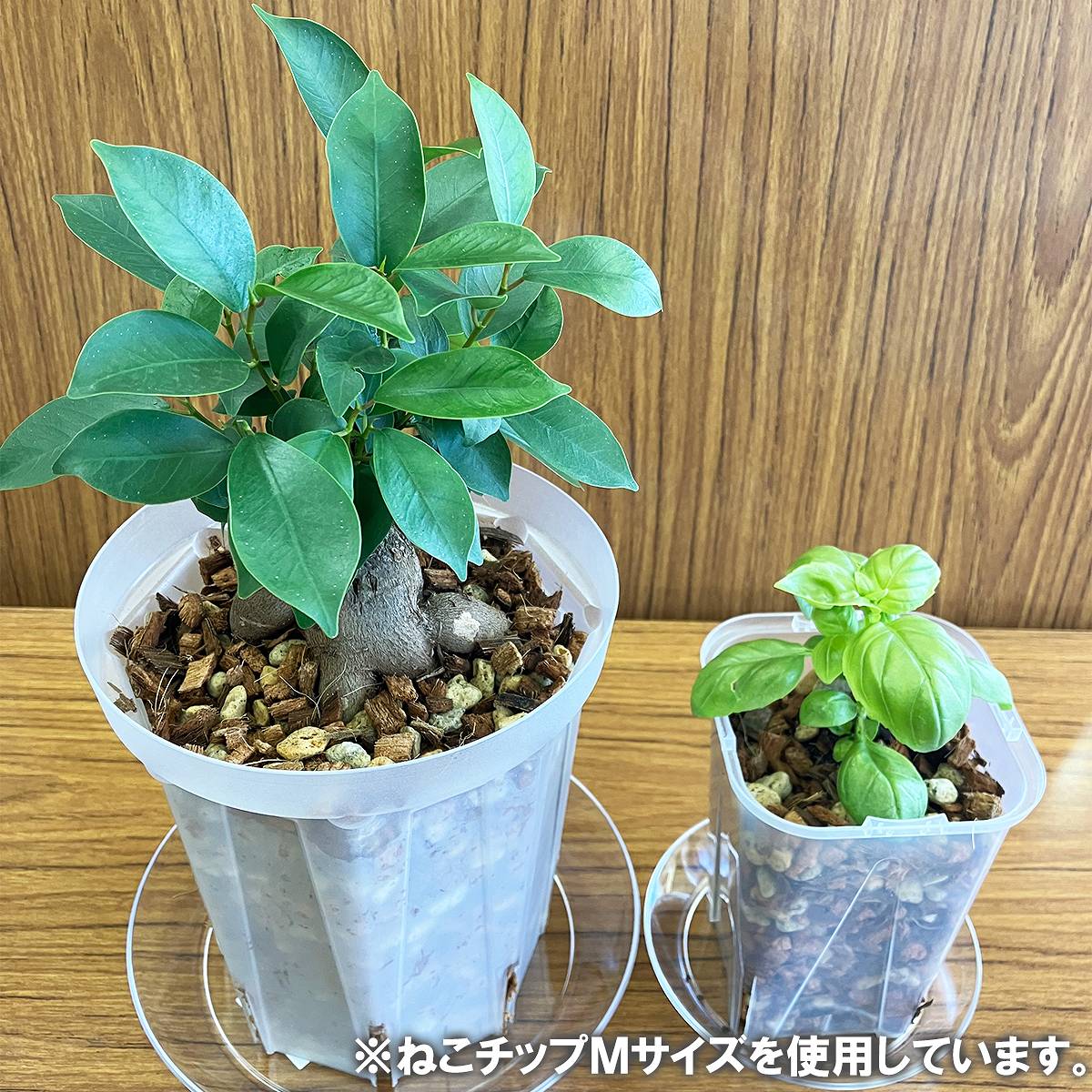 ねこチップ Sサイズ 5L まる由 ねこの道具屋 観葉植物 土 観葉植物 用土 観葉植物...