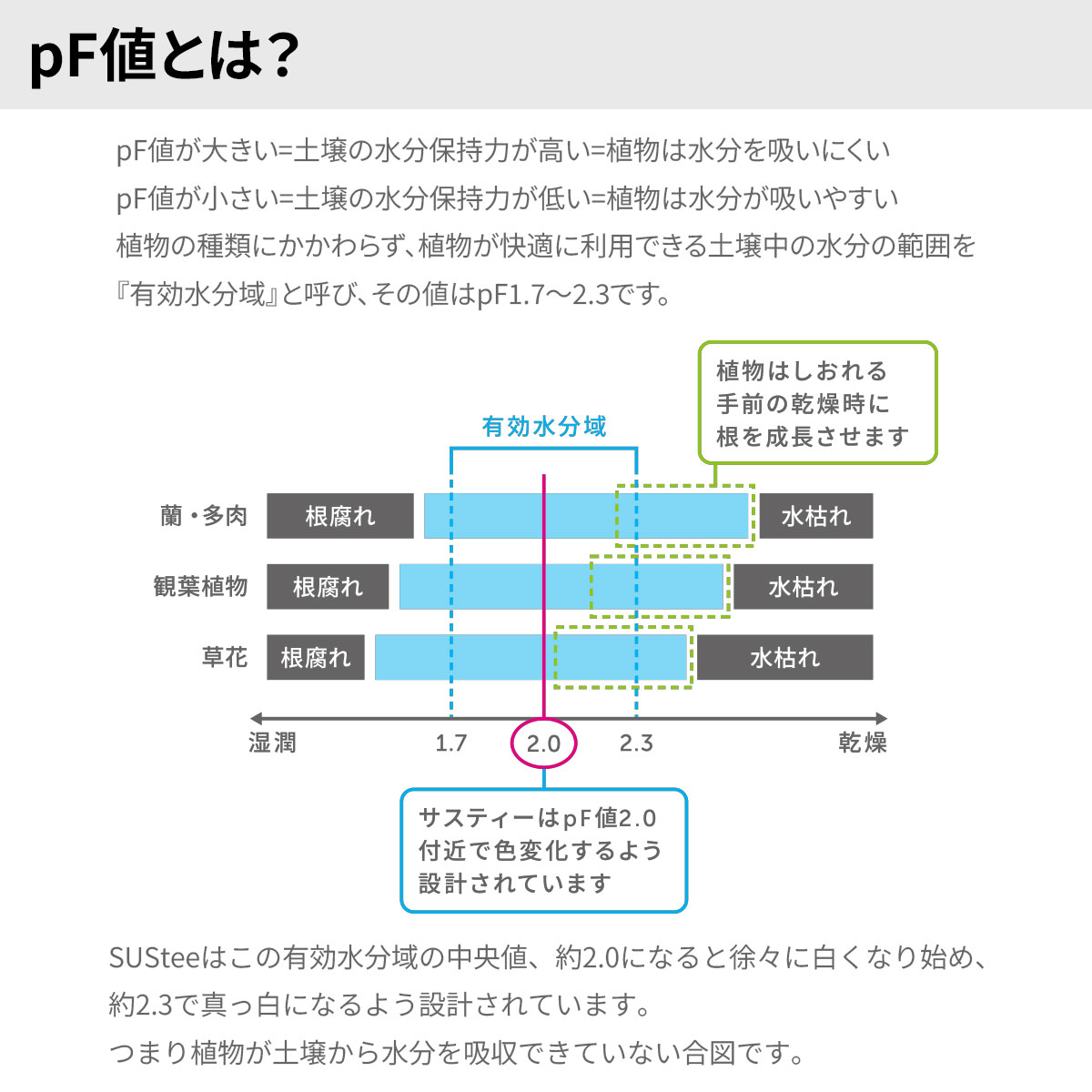 ��������å��� SUS-TEE(�����ƥ���) S������ �֥�å� C-0031-BK ����ӥΥ��� 2��3��ȭ�� ��ʪ�ѿ�ʬ�� M