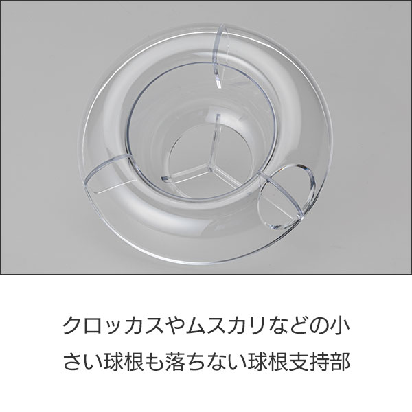 VASE ダブル 球根2球用 クリア 0.95L 196×123×H114 大和プラスチック 鉢