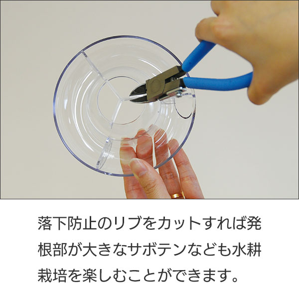 VASE ダブル 球根2球用 クリア 0.95L 196×123×H114 大和プラスチック 鉢