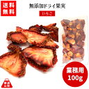 【送料無料】 山梨県産 無添加ドライ果実 いちご 15g×3袋 ライフルーツ 山梨乾燥果実工房なかむら