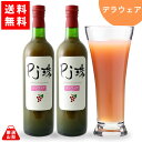  PJ珠 デラウエア 720ml×2本 山梨県産 ぶどう ジュース フレアフードファクトリー