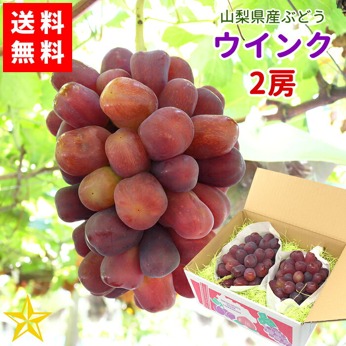 商品名 ウインク 内容量 2房入り(約1.8kg箱)※重さは多少前後します。予めご了承ください。 品種 ウインク 発送形態 常温便にてお届け 生産者 ドメーヌ茅ヶ岳 のし 対応します。★ご注文前にご確認ください★ ※収穫や発送が天候などに影響を受けるため、日付指定はお受けできません。 ※長期不在になる予定がある場合は、早めにお知らせください。不在期間を避けて発送いたします。 ※お支払方法についての注意※ お支払方法で前払い決済（銀行振込・コンビニ支払）をご利用の場合は、楽天市場からお支払方法を記したメールが送信されてから14日以内の入金となっておりますが、ご注文いただいた時期が収穫終了間近の場合、お早目のご入金をお願いする場合がございます。 その場合、弊社より入金期限についてのお知らせメールを送信しますので、メールに記してある期限内にお支払をお願いします。 ※入金期限内にご入金が無い場合はキャンセルとなりますのでご注意ください。 【ご注意】 収穫開始次第順次発送となります。 1日に収穫できる量にも限りがございますので、注文が集中している場合は収穫開始日から発送までにお時間をいただく場合もございます。予めご了承ください。 当ワイナリー「ドメーヌ茅ヶ岳」では、ワイン用ぶどうはもちろん、食用ぶどうの栽培にも力を入れています。 自然豊かな山梨・韮崎の気候と、栽培者の手しごとが生み出す、粒が大きく、房も立派なぶどうは、毎年ご好評をいただいております。 一房 約900g に育てた、迫力のある大房を厳選しました。 「ウインク」は、濃い赤紫色の美しい果皮と、しっかりとした果肉が特徴の希少なぶどうです。 口にすると、豊かな甘みとほどよい酸味が広がり、濃厚でありながら後味は爽やか。 パリッとした食感もお楽しみいただけます。皮ごと食べることができます。 一房一房、畑で大切に育てた自慢のぶどうです。 ご家庭用にはもちろん、大切な方への贈り物にもおすすめです。 ★予約受付中★ 9月上旬ごろより順次発送開始予定です。※今後の天候や生育状況によって大きく前後することがあります。予めご了承ください。 ※数量限定販売です。売り切れの際はご容赦ください。