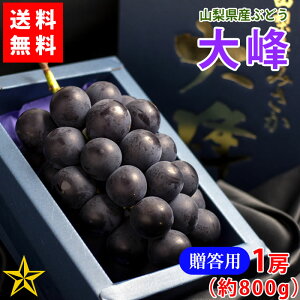 【送料無料】大峰 (藤稔) 1房 約800g JA笛吹 山梨県 笛吹市産 御坂 農家直送