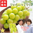 【送料無料】 山梨県産ぶどう シャインマスカット 2kg箱(3~5房) 中澤さんのブドウ 山梨県 南アルプス市産 産地直送 農家直送