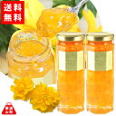 【送料無料】 山吹 やまぶき コンフィチュール 160g×2本セット 山梨県産 食べる 宝石