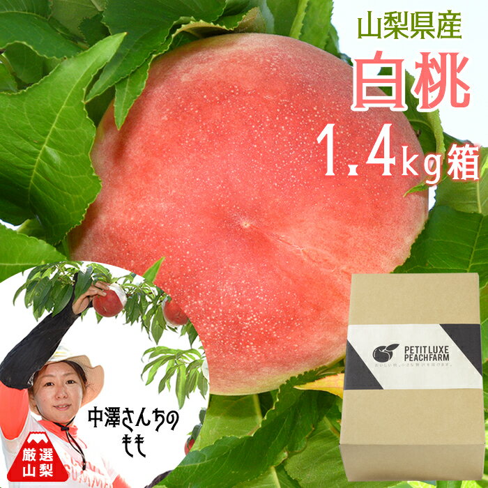 桃1.4kg箱中澤さんの桃山梨県南...