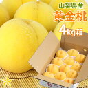 【送料無料】 黄金桃 4kg箱 (12~14玉) 山梨県産 朝取り 新鮮 産地直送 お取り寄せ