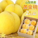 【送料無料】 黄金桃 2kg箱 (5~7玉) 山梨県産 朝取り 新鮮 産地直送 お取り寄せ