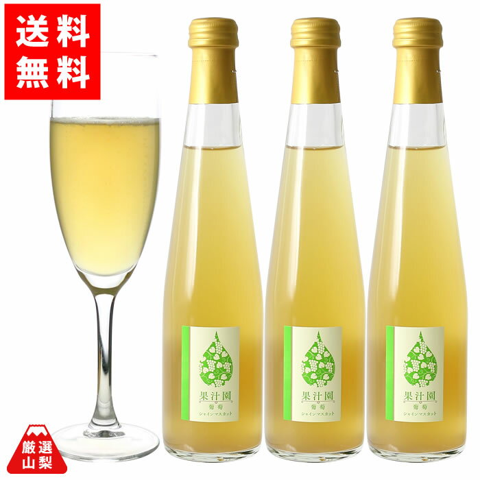 【送料無料】 スパークリング 果汁園 シャインマスカット 300ml×3本 山梨県産 ぶどう ジュース 炭酸 ストレートジュース 東夢農能工房