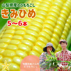 とうもろこし きみひめ 5〜6本 スイートコーン 旬果市場 最大糖度19度 生で食べられる 山梨県産 甲府 農家直送