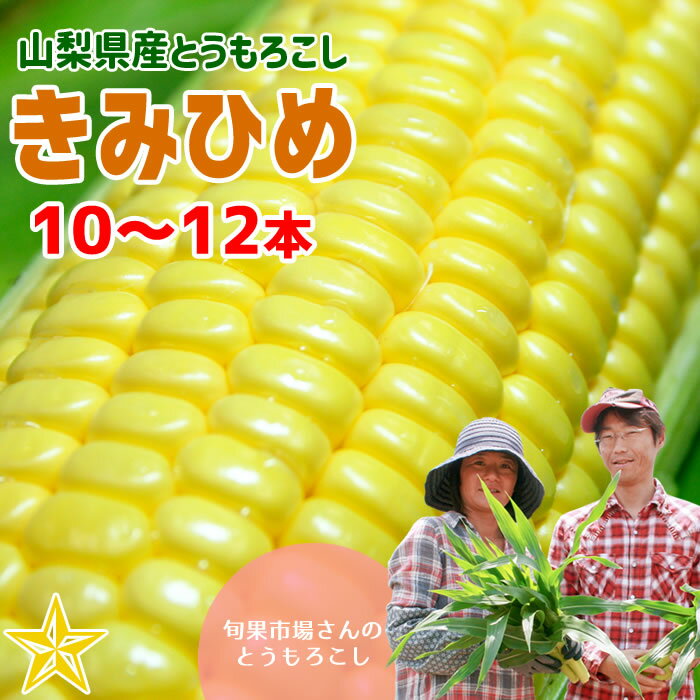 とうもろこし きみひめ 10〜12本 スイートコーン 旬果市場 最大糖度19度 生で食べられる 山梨県産 甲府 農家直送