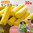 商品名 ヤングコーン 内容量 30本※収穫時期・その年の気候等によって大きさや太さにバラツキがありますのでご了承下さい。 品種 きみひめ 発送時期 5月中旬から6月下旬※天候などにより収穫時期は前後します。※天候などにより収穫発送ができない日もございます。日付指定はお受けできません事予めご了承ください。 発送形態 冷蔵便 のし 各種対応しますきみひめのヤングコーンになります。 きみひめのヤングコーンの多くは市場に出回りにくいため貴重です。 とうもろこしだけでなく、内側にあるヒゲも生で食べられます。 お勧めはオイル炒め、天ぷら、お肉や野菜炒めといっしょにバター炒めなど美味しく召し上がれます。 【きみひめとは？】 甘々娘やゴールドラッシュのような有名なとうもろこし品種ではありません。 しかし、目利きのプロ 築地の青果バイヤーを唸らせたとうもろこしが「きみひめ」です。 甲府盆地特有の昼夜気温の寒暖差が、糖度の高いとうもろこしを育てます。 青臭さも全くありません。プチプチ食感が楽しめます。 5月中旬から6月下旬くらいまでの期間限定販売です。 ◆剥き方のポイント 1枚1枚皮を剥くと大変なので、皮つきの状態で外側から真ん中にスジを入れ（指またはカッターなど）、左右に開くと取り出しやすいです。 ◆大きさや太さにバラツキがありますのでご了承下さい。 ◆鮮度が命ですので、到着したらすぐに調理してお召し上がるのが美味しさと栄養を生かすコツです。一度に食べきれないときは、できるだけ早く皮を剥き、茹でたあと（またはレンジで3分、途中でひっくり返す）ラップに包んで、冷蔵庫か冷凍庫に保存してください。 ※お支払方法についての注意※ お支払方法で前払い決済（銀行振込・コンビニ支払）をご利用の場合は、楽天市場からお支払方法を記したメールが送信されてから14日以内の入金となっておりますが、ご注文いただいた時期が収穫終了間近の場合、お早目のご入金をお願いする場合がございます。 その場合、弊社より入金期限についてのお知らせメールを送信しますので、メールに記してある期限内にお支払をお願いします。 ※入金期限内にご入金が無い場合はキャンセルとなりますのでご注意ください。 ★テレビ「青空レストラン」「ごはんジャパン」で紹介★ ★予約受付中★ 商品は、5月下旬ごろより順次発送開始予定！今後の天候や生育状況によっては前後します。予めご了承ください。 ※この商品は合計2箱までで1個口です。3箱以上ご購入の場合はご注文完了後に送料を追加させていただきます。 ※きみひめ・きみひめ&ヤングコーンセットを同時注文した場合も同様です。合計3箱以上で送料追加となります。