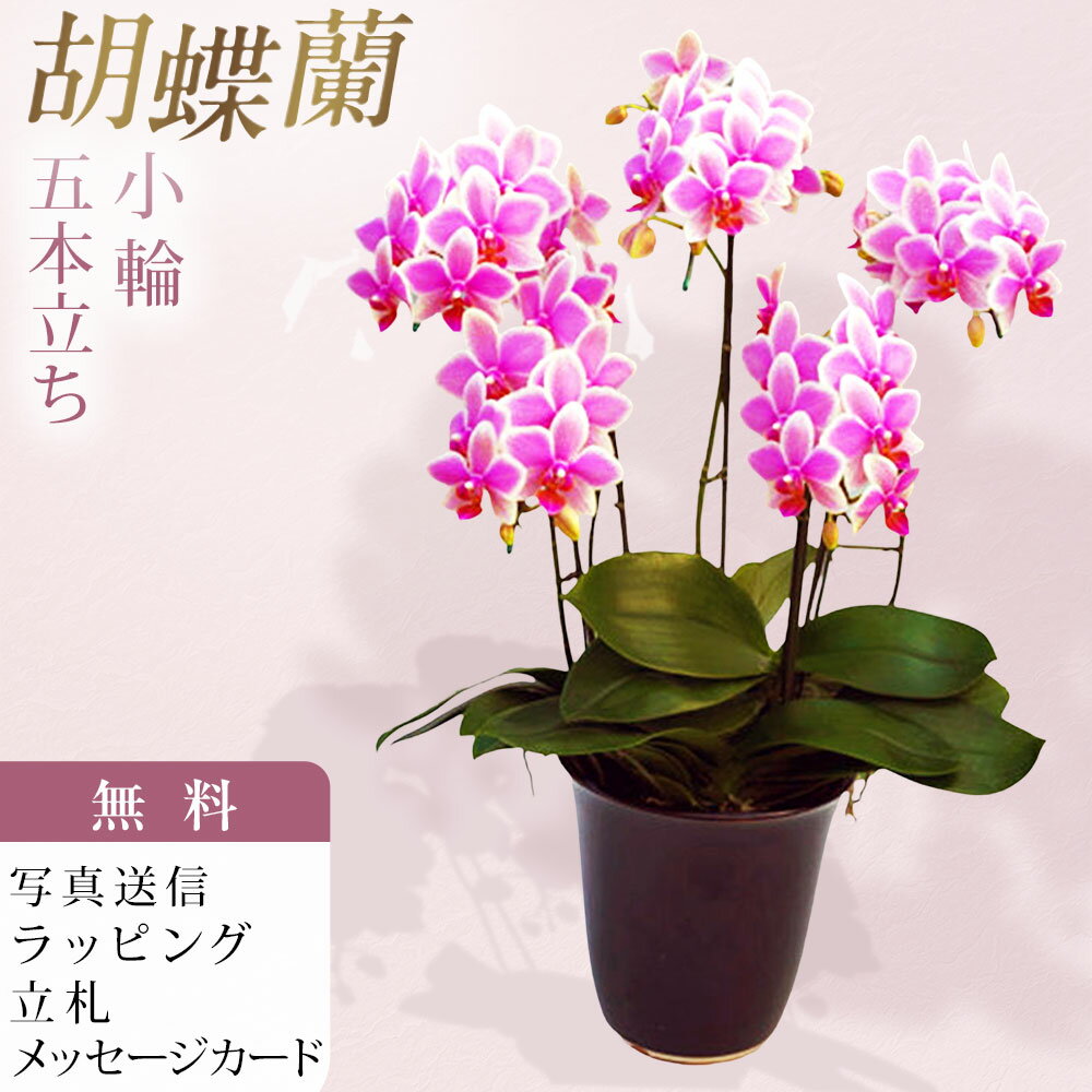 商品画像3