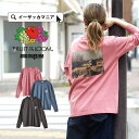 カットソー レディース トップス 長袖 綿 【メール便可22】◆Fruit of the Loom（フルーツオブザルーム）：ANNA MAGAZINE×Fruit of the Loomコラボ バックフォトプリント ロンT