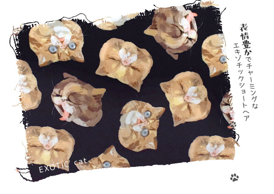 zootie(ズーティー):ねこ・ネコ・猫・CAT ロングワイドパンツ zootie(ズーティー):ねこ・ネコ・猫・CAT ロングワイドパンツ