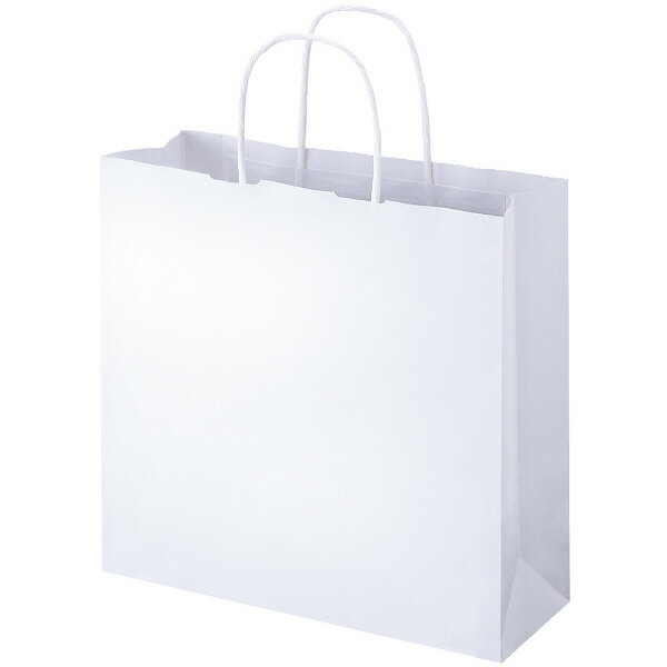 丸紐手提げ袋 白 M