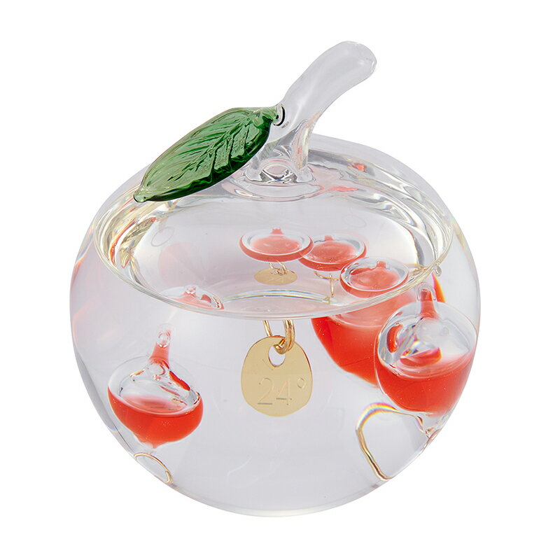 温度計 Fun Science ガラスフロート温度計 りんご 333-218 幅60mm 奥行き80mm 高さ100mm ホウケイ酸ガ..