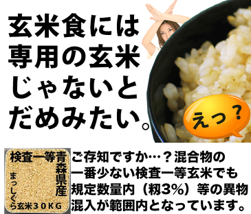米 10kg 玄米食 調整済 2年産 農家の食べているおいしい玄米10kg オリジナル【米10kg】