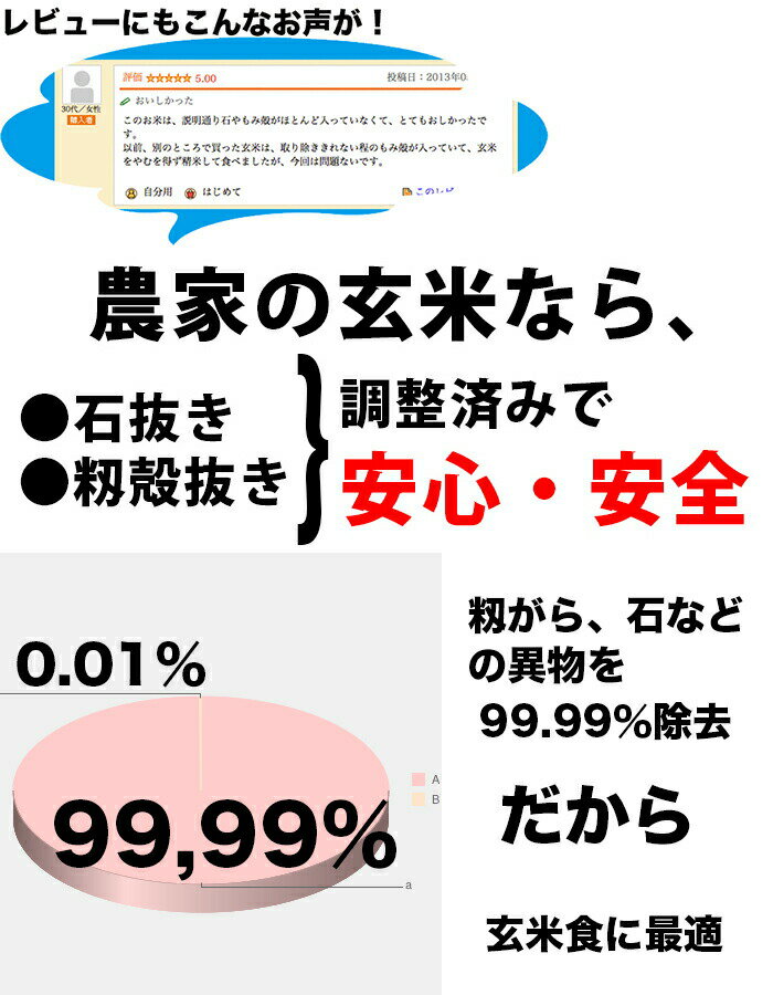 米 10kg 送料無料 玄米食 調整済 【令和元年産 農家の食べているおいしい玄米10kg】オリジナル 10キロ